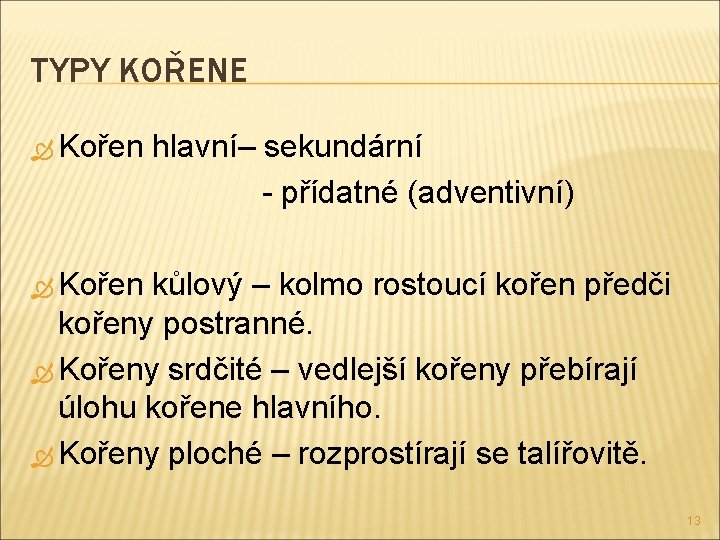 TYPY KOŘENE Kořen hlavní– sekundární - přídatné (adventivní) Kořen kůlový – kolmo rostoucí kořen