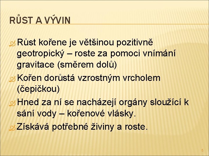 RŮST A VÝVIN Růst kořene je většinou pozitivně geotropický – roste za pomoci vnímání