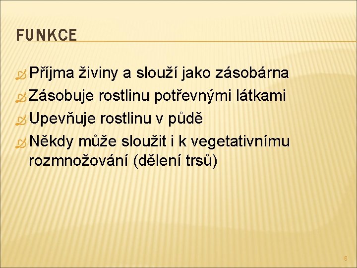 FUNKCE Příjma živiny a slouží jako zásobárna Zásobuje rostlinu potřevnými látkami Upevňuje rostlinu v