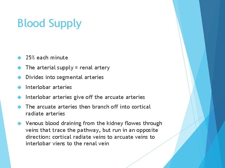 Blood Supply 25% each minute The arterial supply = renal artery Divides into segmental