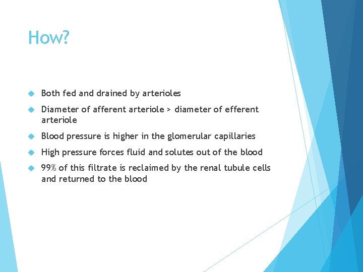 How? Both fed and drained by arterioles Diameter of afferent arteriole > diameter of