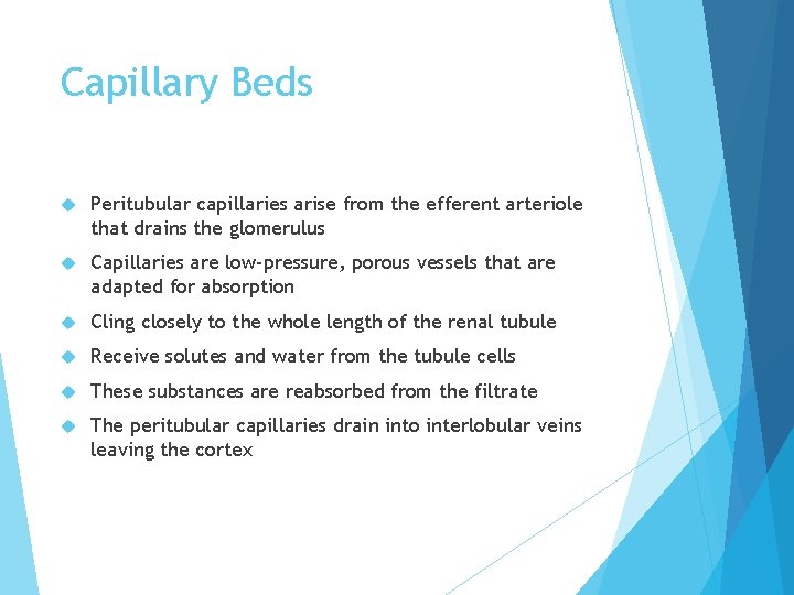 Capillary Beds Peritubular capillaries arise from the efferent arteriole that drains the glomerulus Capillaries