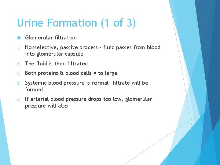 Urine Formation (1 of 3) Glomerular filtration a) Nonselective, passive process - fluid passes