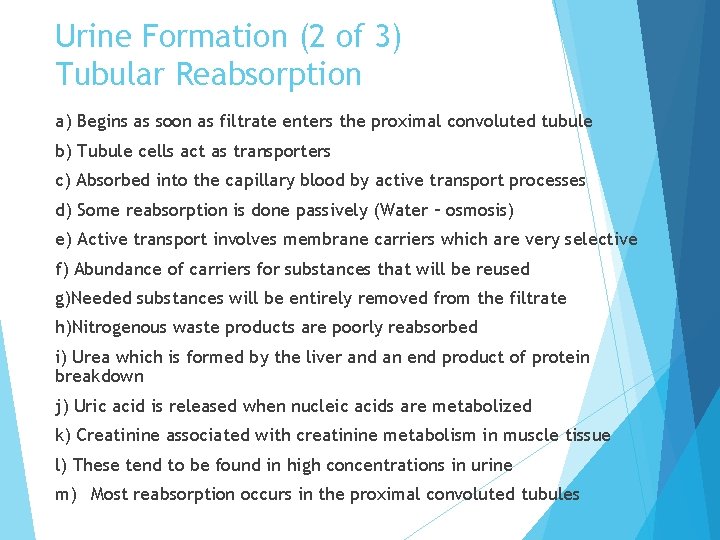 Urine Formation (2 of 3) Tubular Reabsorption a) Begins as soon as filtrate enters