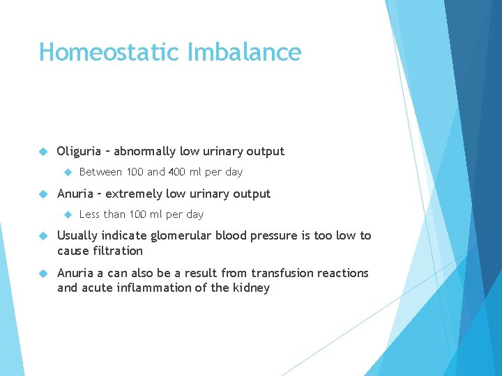 Homeostatic Imbalance Oliguria – abnormally low urinary output Between 100 and 400 ml per