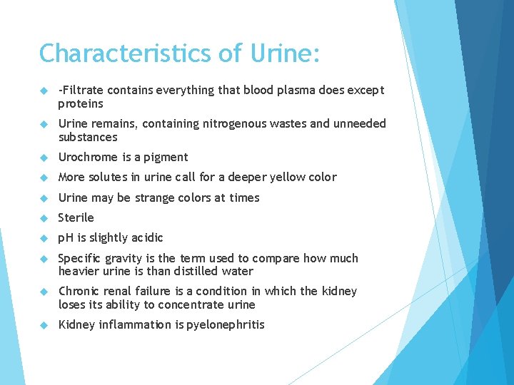 Characteristics of Urine: -Filtrate contains everything that blood plasma does except proteins Urine remains,