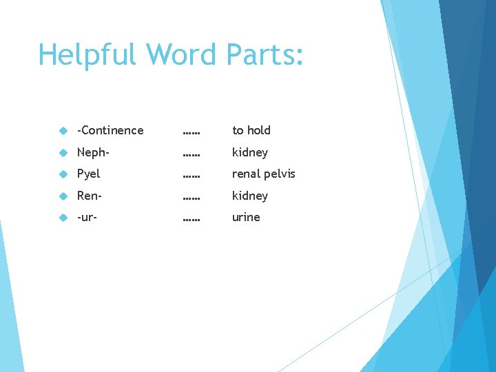 Helpful Word Parts: -Continence …… to hold Neph- …… kidney Pyel …… renal pelvis