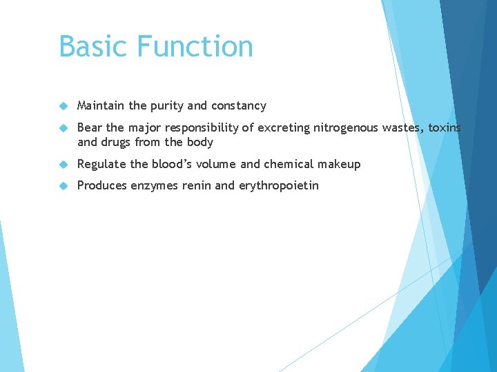 Basic Function Maintain the purity and constancy Bear the major responsibility of excreting nitrogenous