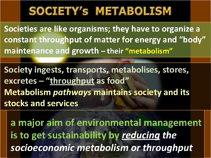 Societies are like organisms; they have to organize a constant throughput of matter for