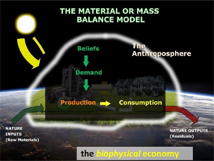 the biophysical economy 