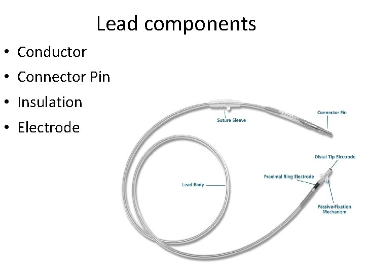 Lead components • Conductor • Connector Pin • Insulation • Electrode 