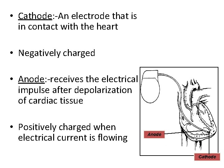  • Cathode: -An electrode that is in contact with the heart • Negatively