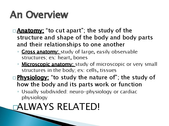 An Overview � Anatomy: “to cut apart”; the study of the structure and shape