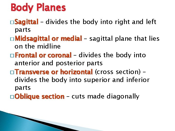 Body Planes � Sagittal – divides the body into right and left parts �