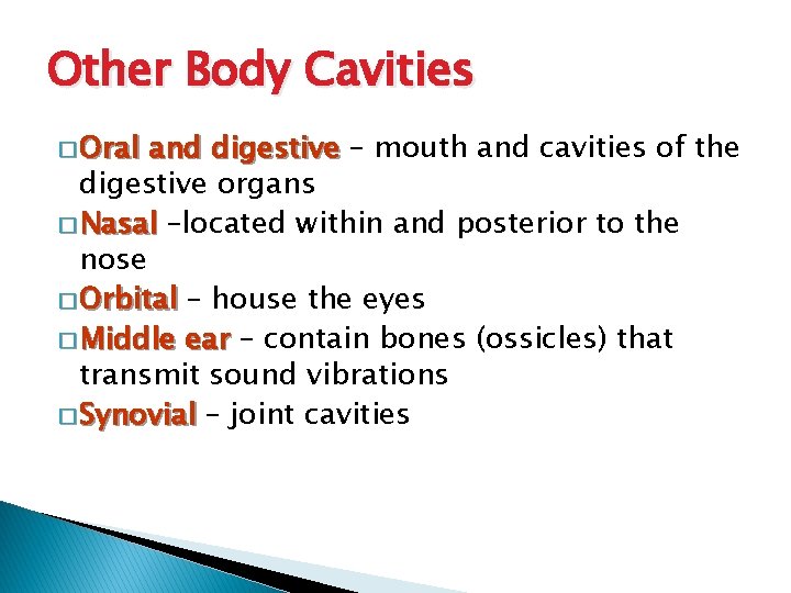 Other Body Cavities � Oral and digestive – mouth and cavities of the digestive