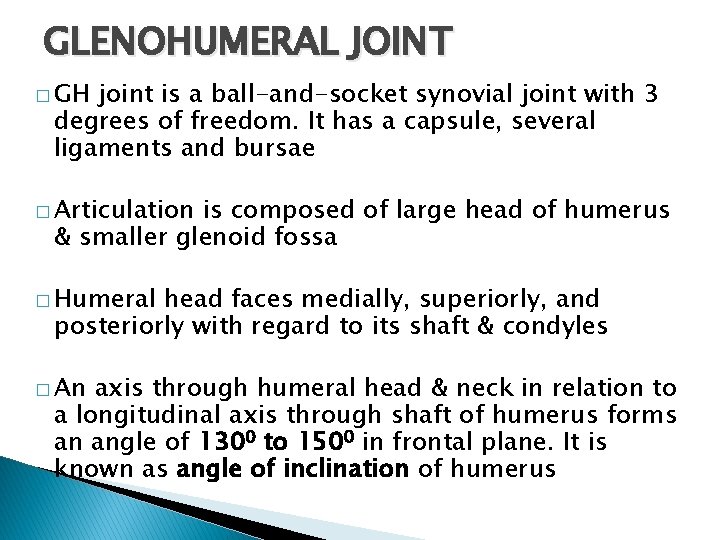 GLENOHUMERAL JOINT � GH joint is a ball-and-socket synovial joint with 3 degrees of