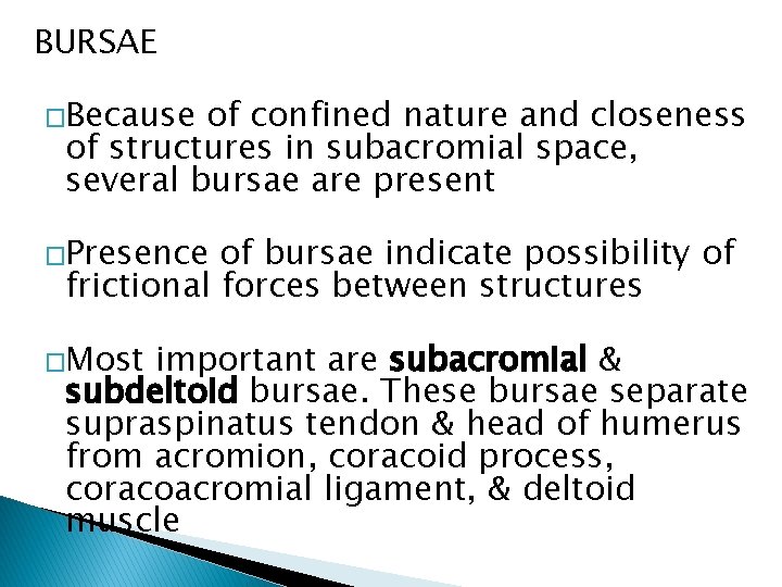 BURSAE �Because of confined nature and closeness of structures in subacromial space, several bursae