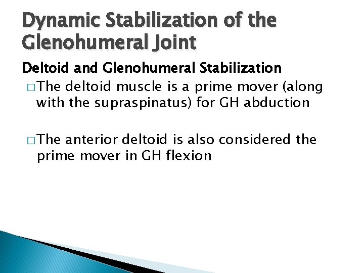 Dynamic Stabilization of the Glenohumeral Joint Deltoid and Glenohumeral Stabilization � The deltoid muscle