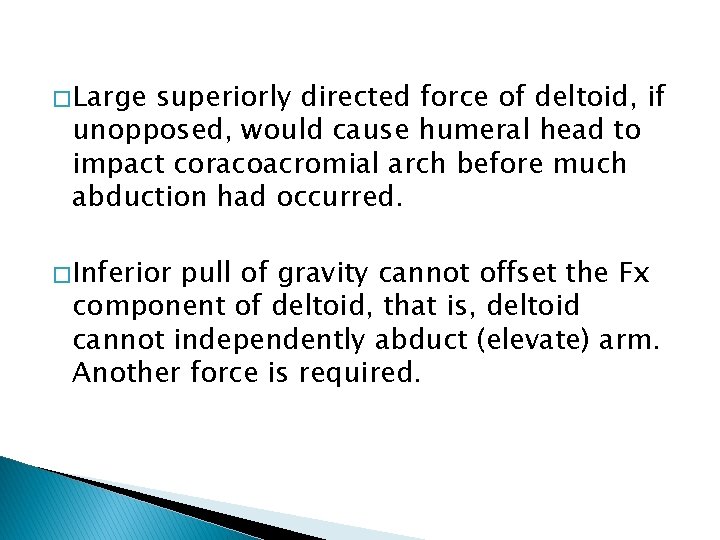 � Large superiorly directed force of deltoid, if unopposed, would cause humeral head to