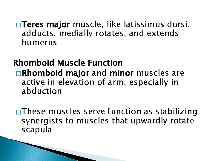 � Teres major muscle, like latissimus dorsi, adducts, medially rotates, and extends humerus Rhomboid
