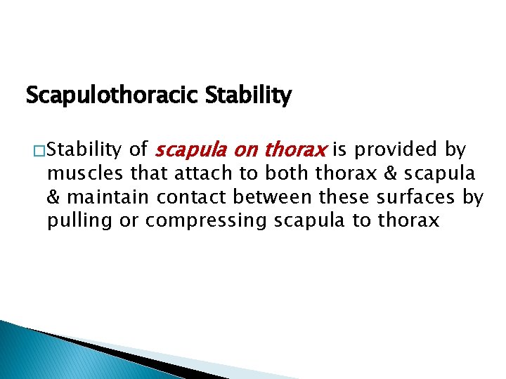 Scapulothoracic Stability of scapula on thorax is provided by muscles that attach to both