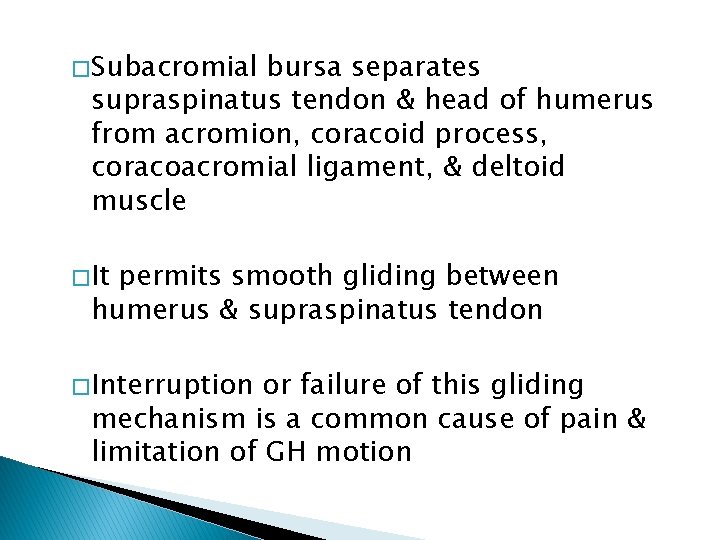 � Subacromial bursa separates supraspinatus tendon & head of humerus from acromion, coracoid process,
