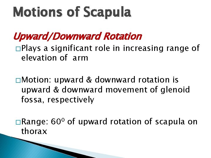 Motions of Scapula Upward/Downward Rotation � Plays a significant role in increasing range of