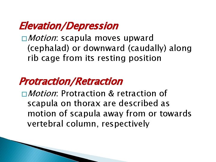 Elevation/Depression � Motion: scapula moves upward (cephalad) or downward (caudally) along rib cage from