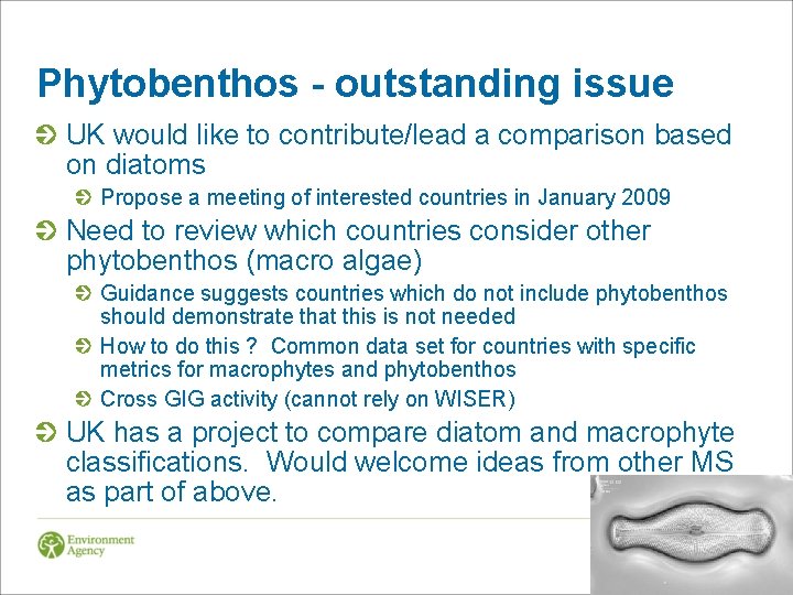 Phytobenthos - outstanding issue UK would like to contribute/lead a comparison based on diatoms