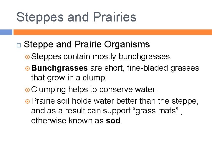 Steppes and Prairies Steppe and Prairie Organisms Steppes contain mostly bunchgrasses. Bunchgrasses are short,