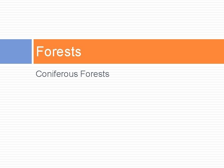 Forests Coniferous Forests 