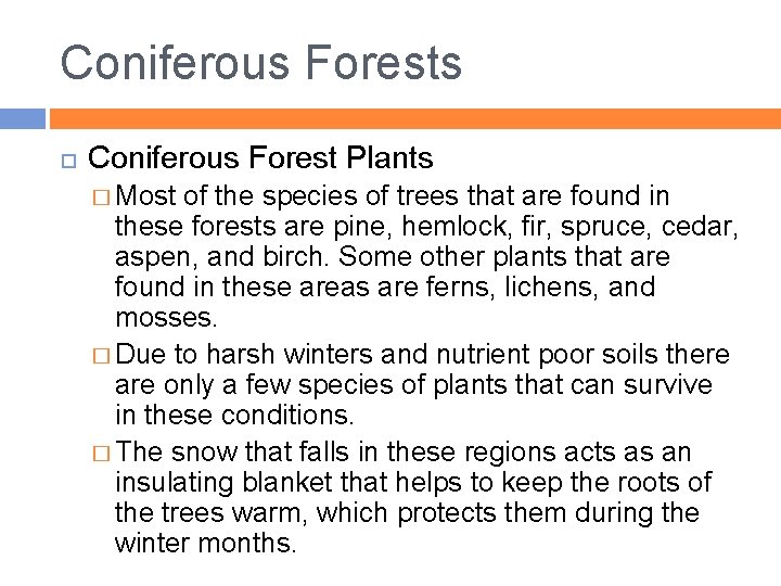 Coniferous Forests Coniferous Forest Plants � Most of the species of trees that are