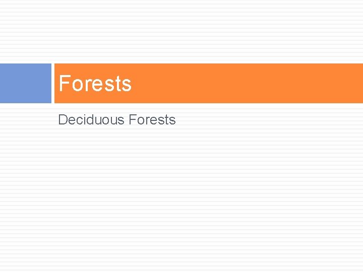 Forests Deciduous Forests 