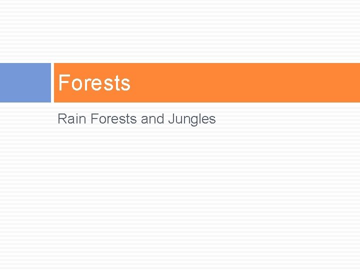 Forests Rain Forests and Jungles 