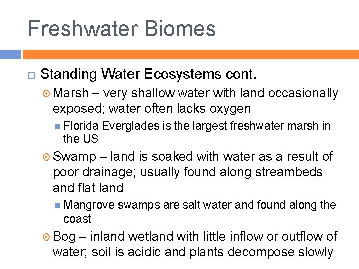 Freshwater Biomes Standing Water Ecosystems cont. Marsh – very shallow water with land occasionally