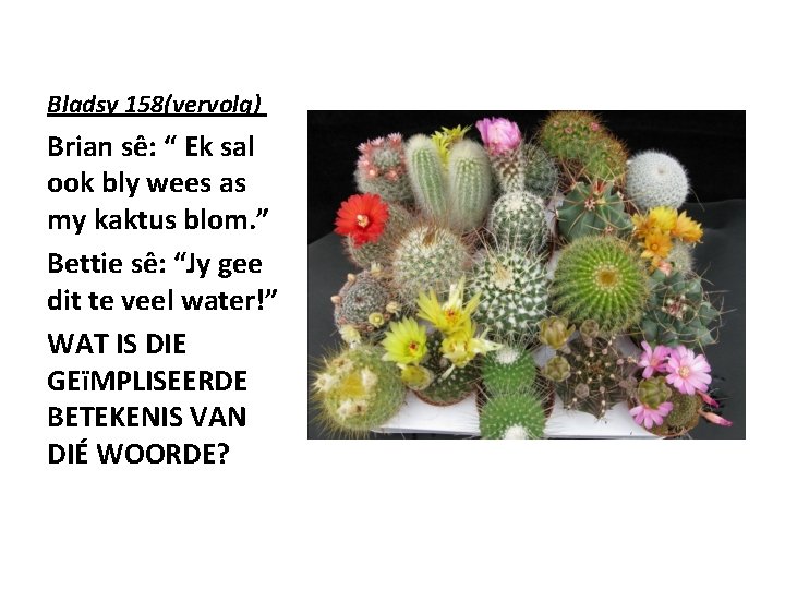 Bladsy 158(vervolg) Brian sê: “ Ek sal ook bly wees as my kaktus blom.