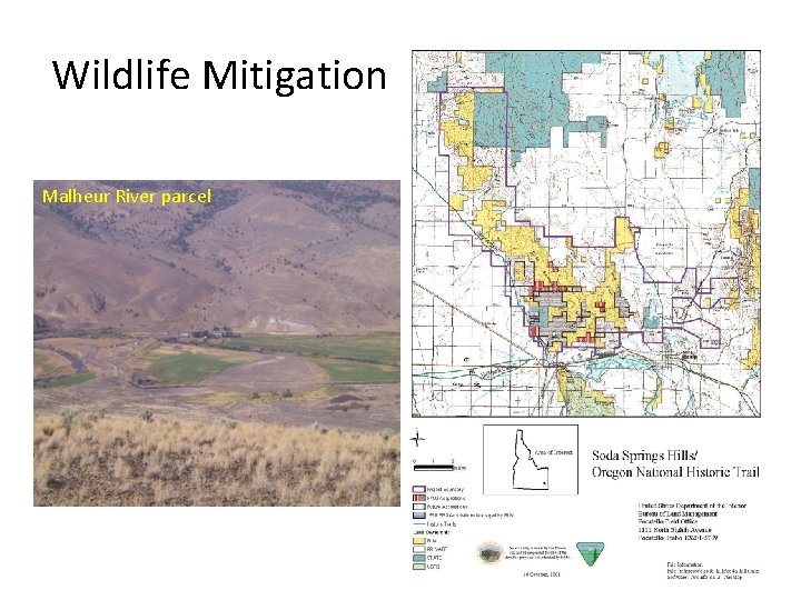 Wildlife Mitigation Malheur River parcel 
