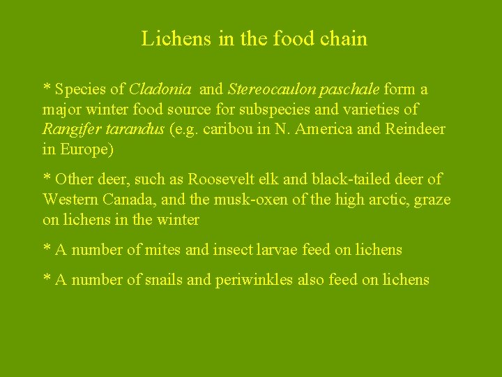 Lichens in the food chain * Species of Cladonia and Stereocaulon paschale form a