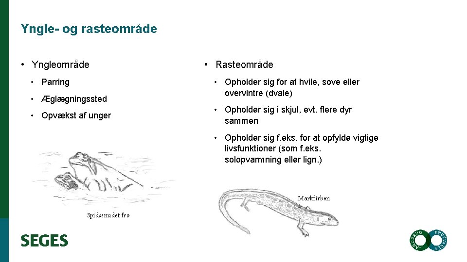 Yngle- og rasteområde • Yngleområde • Parring • Æglægningssted • Opvækst af unger •