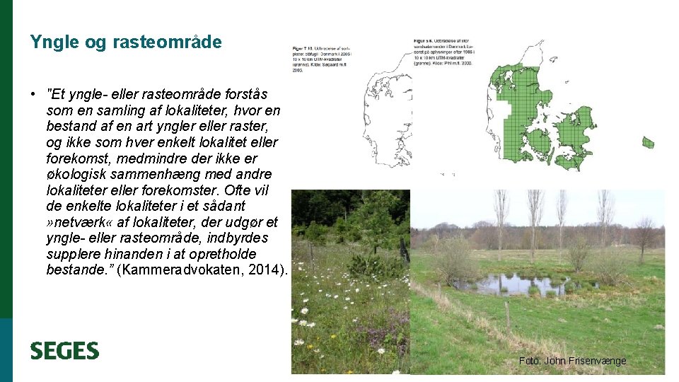 Yngle og rasteområde • "Et yngle- eller rasteområde forstås som en samling af lokaliteter,