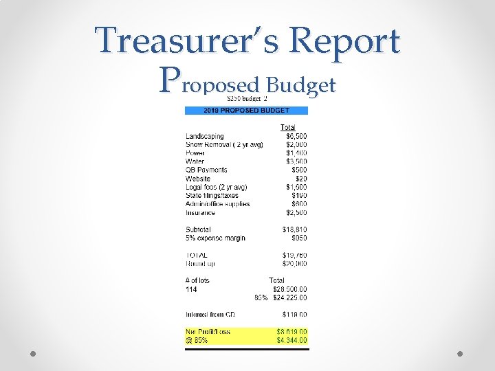 Treasurer’s Report Proposed Budget 