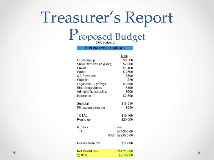 Treasurer’s Report Proposed Budget 