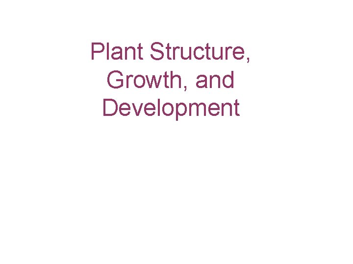 Plant Structure, Growth, and Development 