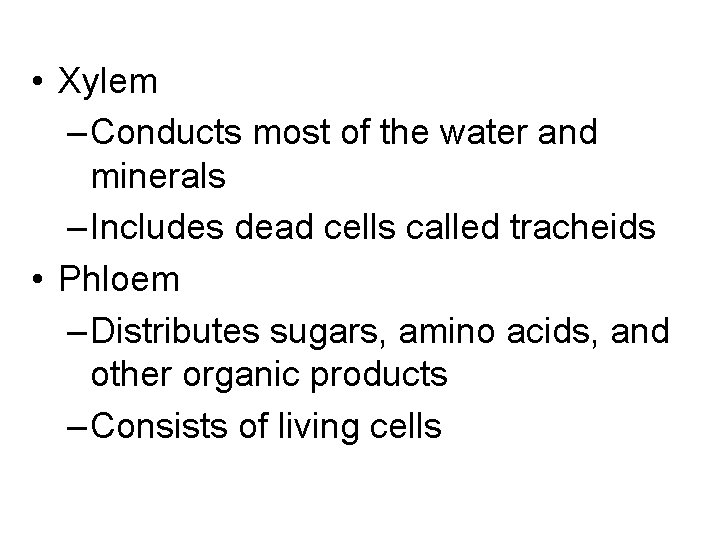  • Xylem – Conducts most of the water and minerals – Includes dead