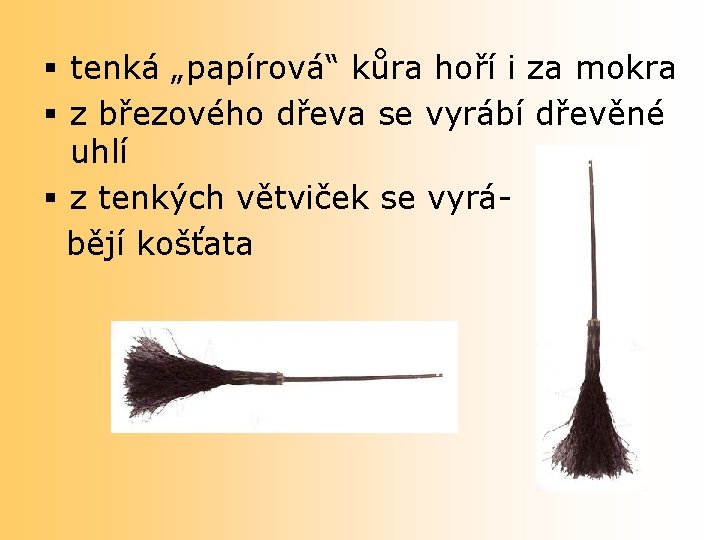 § tenká „papírová“ kůra hoří i za mokra § z březového dřeva se vyrábí