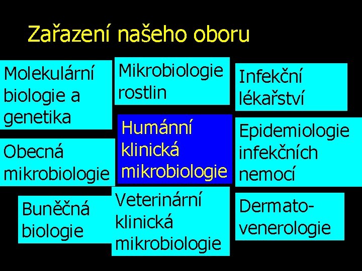 Zařazení našeho oboru Molekulární biologie a genetika Mikrobiologie Infekční rostlin lékařství Humánní Epidemiologie klinická