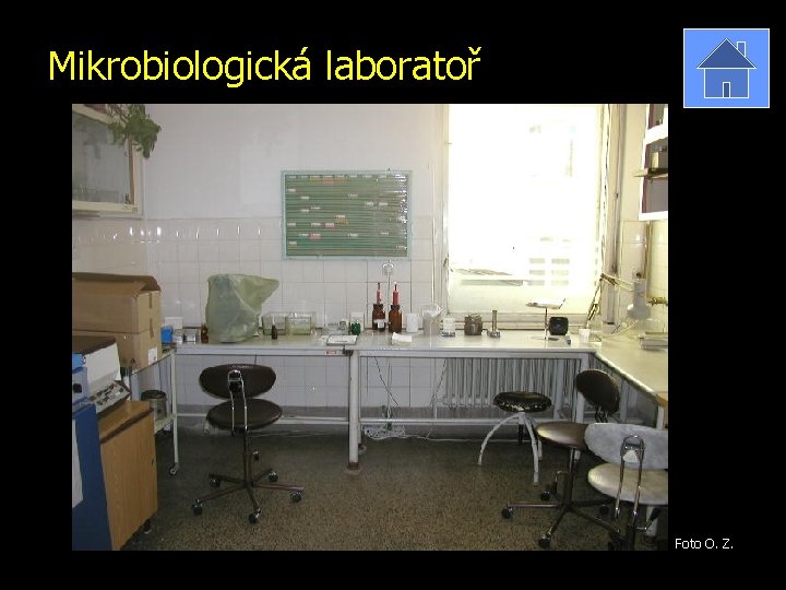 Mikrobiologická laboratoř Foto O. Z. 