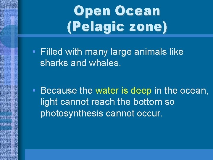 Open Ocean (Pelagic zone) • Filled with many large animals like sharks and whales.