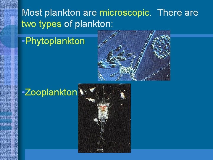 Most plankton are microscopic. There are two types of plankton: • Phytoplankton • Zooplankton