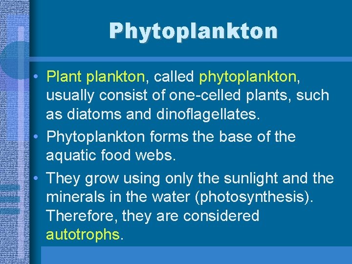 Phytoplankton • Plant plankton, called phytoplankton, usually consist of one-celled plants, such as diatoms